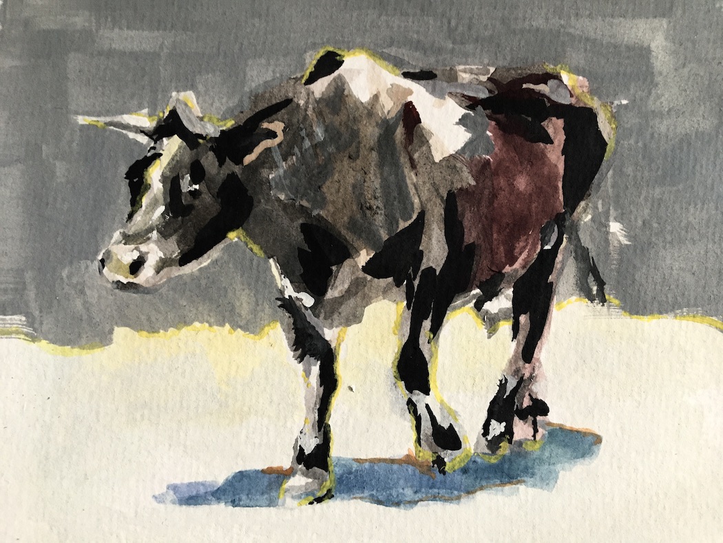 Cow in Albania, painting, Gouache on Paper, on Commission 90.-